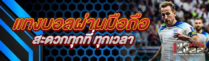 แทงบอลผ่านมือถือ สะดวกทุกที่ ทุกเวลา