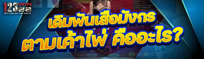 เดิมพันเสือมังกรตามเค้าไพ่ คืออะไร?