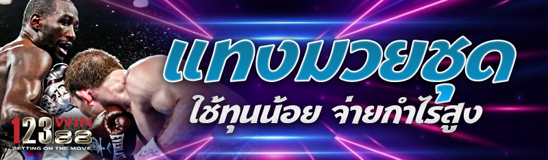 แทงมวยชุด ใช้ทุนน้อย จ่ายกำไรสูง