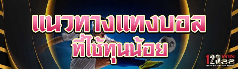 แนวทางแทงบอลที่ใช้ทุนน้อย